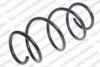 LESJ?FORS 4008493 Coil Spring